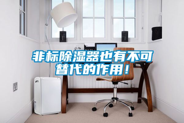 非標除濕器也有不可替代的作用！