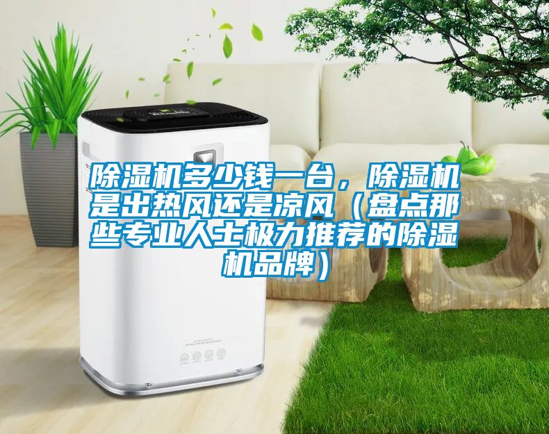 除濕機(jī)多少錢(qián)一臺(tái)，除濕機(jī)是出熱風(fēng)還是涼風(fēng)（盤(pán)點(diǎn)那些專(zhuān)業(yè)人士極力推薦的除濕機(jī)品牌）