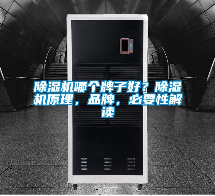 除濕機(jī)哪個牌子好？除濕機(jī)原理，品牌，必要性解讀