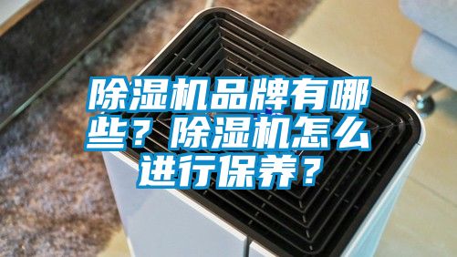 除濕機(jī)品牌有哪些？除濕機(jī)怎么進(jìn)行保養(yǎng)？