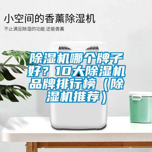 除濕機哪個牌子好？10大除濕機品牌排行榜（除濕機推薦）