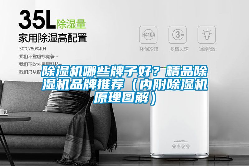 除濕機(jī)哪些牌子好？精品除濕機(jī)品牌推薦（內(nèi)附除濕機(jī)原理圖解）