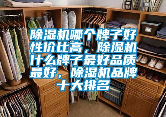 除濕機(jī)哪個(gè)牌子好性價(jià)比高，除濕機(jī)什么牌子最好品質(zhì)最好，除濕機(jī)品牌十大排名