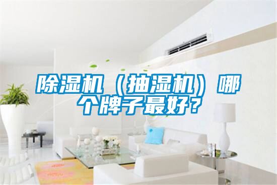 除濕機(jī)（抽濕機(jī)）哪個(gè)牌子最好？