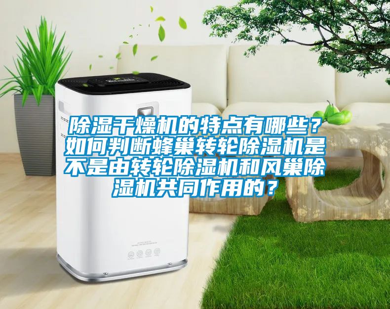 除濕干燥機(jī)的特點(diǎn)有哪些？如何判斷蜂巢轉(zhuǎn)輪除濕機(jī)是不是由轉(zhuǎn)輪除濕機(jī)和風(fēng)巢除濕機(jī)共同作用的？