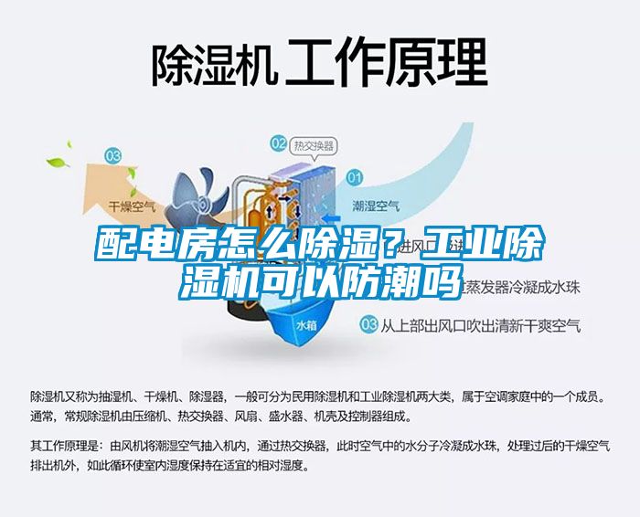 配電房怎么除濕？工業(yè)除濕機(jī)可以防潮嗎