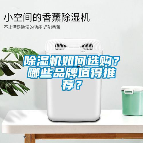 除濕機(jī)如何選購？哪些品牌值得推薦？