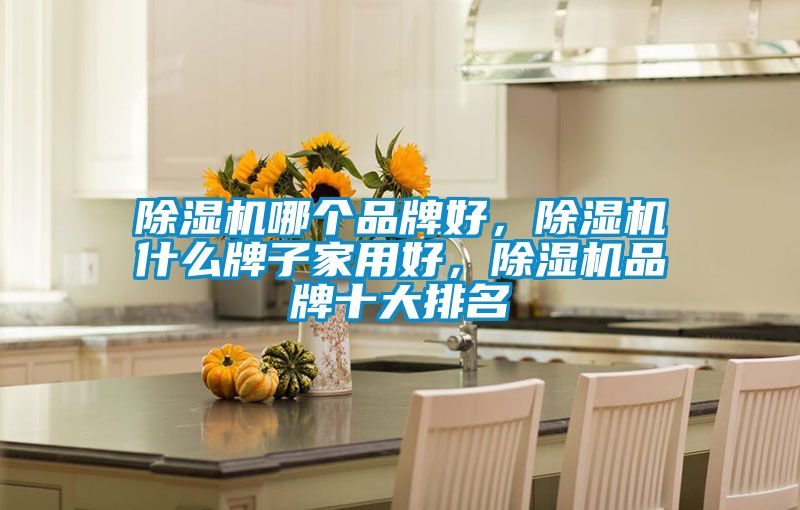 除濕機(jī)哪個品牌好，除濕機(jī)什么牌子家用好，除濕機(jī)品牌十大排名