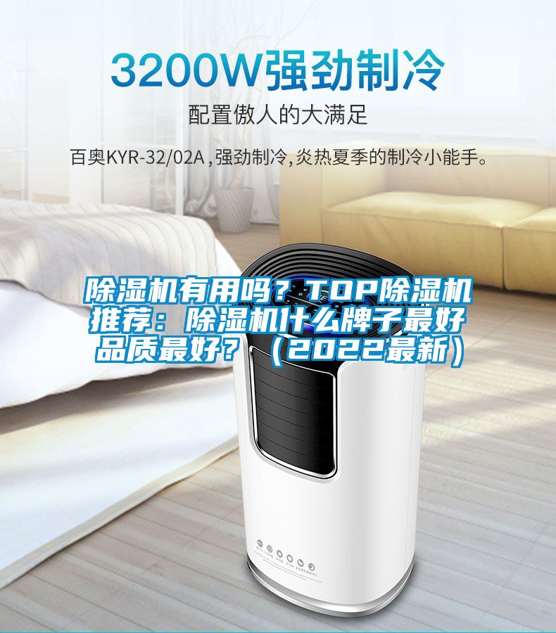 除濕機有用嗎？TOP除濕機推薦：除濕機什么牌子最好品質(zhì)最好？（2022最新）