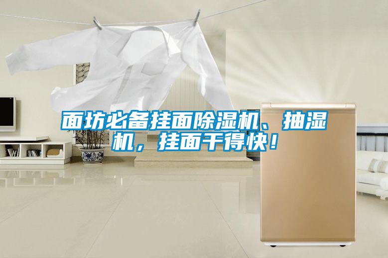 面坊必備掛面除濕機、抽濕機，掛面干得快！