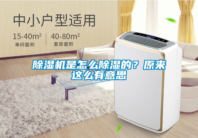除濕機是怎么除濕的？原來這么有意思
