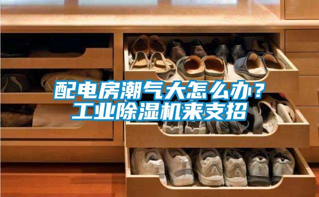 配電房潮氣大怎么辦？工業(yè)除濕機(jī)來支招