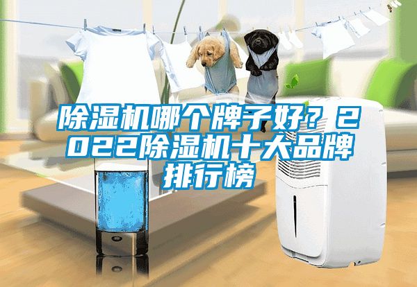 除濕機哪個牌子好？2022除濕機十大品牌排行榜