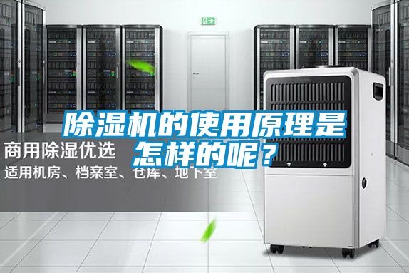 除濕機的使用原理是怎樣的呢？