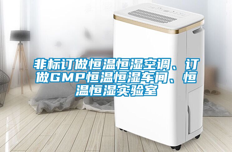 非標訂做恒溫恒濕空調(diào)、訂做GMP恒溫恒濕車間、恒溫恒濕實驗室