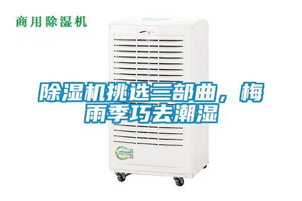 除濕機(jī)挑選三部曲，梅雨季巧去潮濕