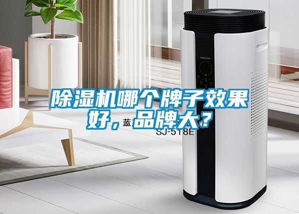 除濕機(jī)哪個(gè)牌子效果好，品牌大？