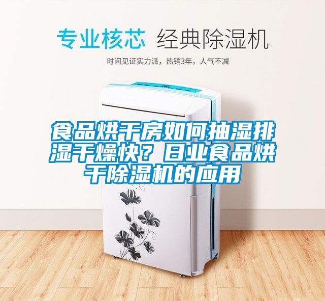 食品烘干房如何抽濕排濕干燥快？日業(yè)食品烘干除濕機(jī)的應(yīng)用