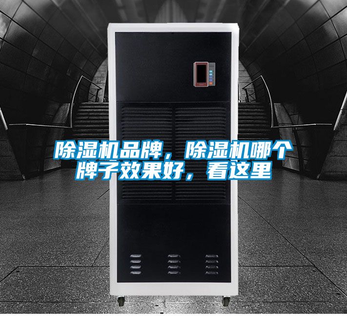 除濕機(jī)品牌，除濕機(jī)哪個(gè)牌子效果好，看這里