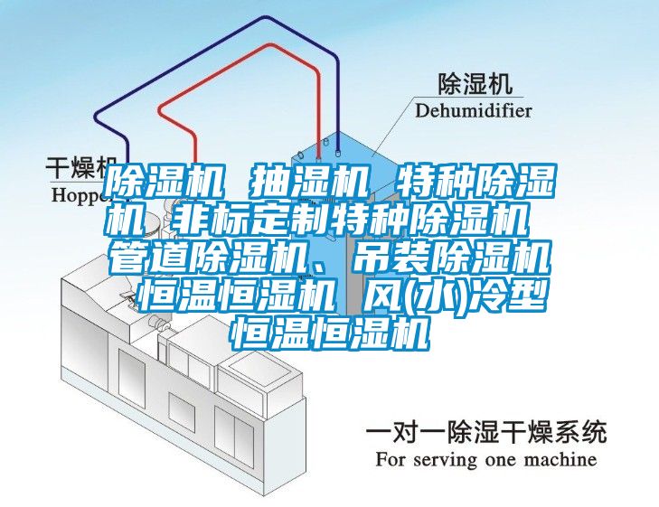 除濕機(jī) 抽濕機(jī) 特種除濕機(jī) 非標(biāo)定制特種除濕機(jī) 管道除濕機(jī)、吊裝除濕機(jī) 恒溫恒濕機(jī) 風(fēng)(水)冷型恒溫恒濕機(jī)