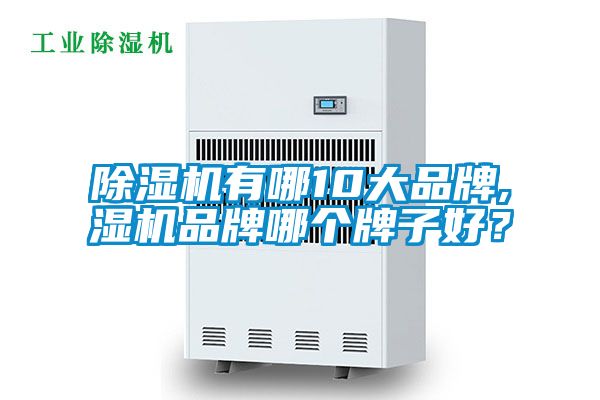 除濕機有哪10大品牌,濕機品牌哪個牌子好？