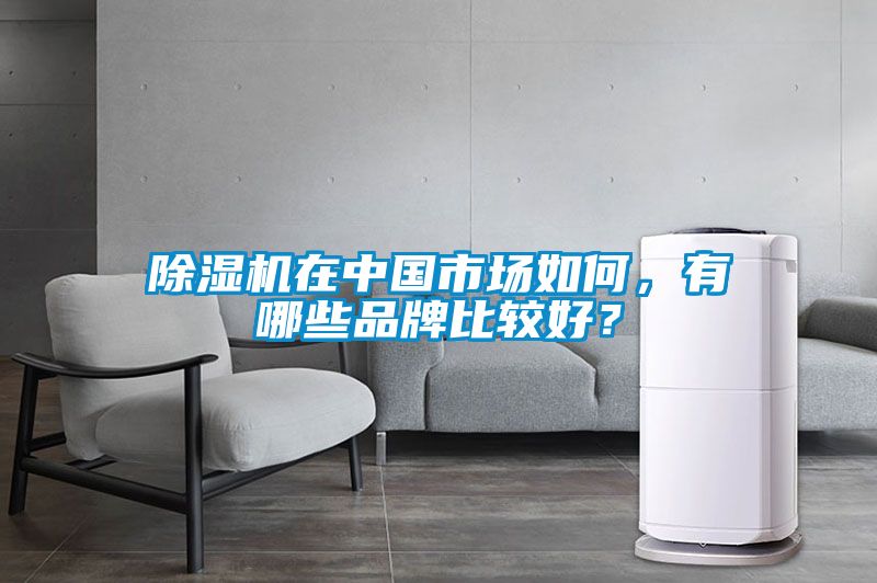 除濕機(jī)在中國(guó)市場(chǎng)如何，有哪些品牌比較好？