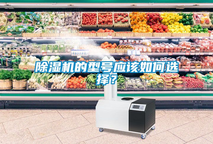 除濕機(jī)的型號(hào)應(yīng)該如何選擇？