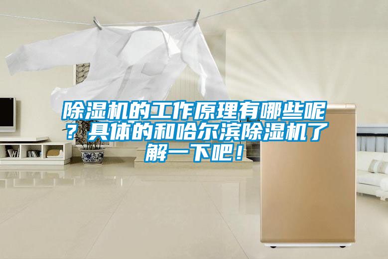 除濕機的工作原理有哪些呢？具體的和哈爾濱除濕機了解一下吧！