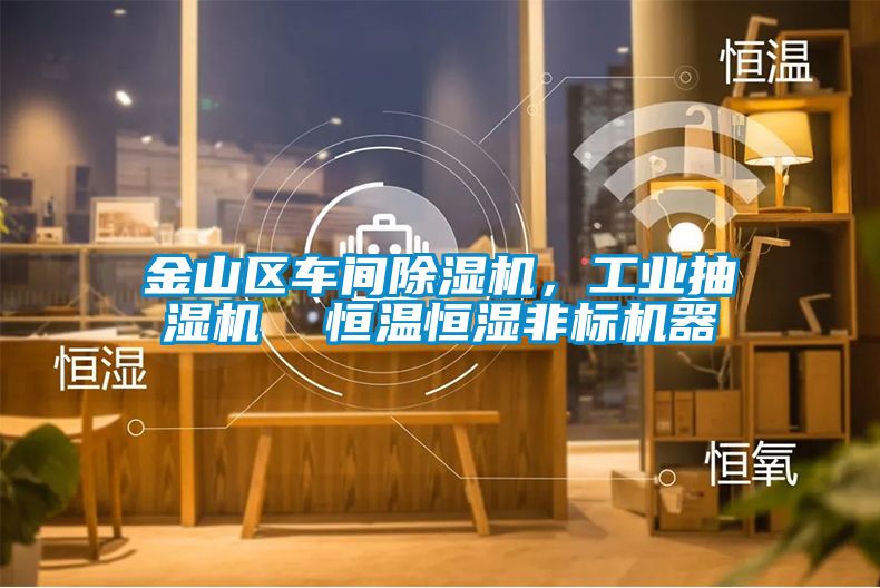 金山區(qū)車(chē)間除濕機(jī)，工業(yè)抽濕機(jī)  恒溫恒濕非標(biāo)機(jī)器