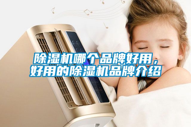除濕機(jī)哪個(gè)品牌好用，好用的除濕機(jī)品牌介紹