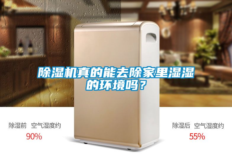 除濕機(jī)真的能去除家里濕濕的環(huán)境嗎？