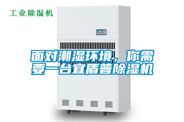 面對潮濕環(huán)境，你需要一臺宜盾普除濕機