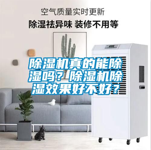 除濕機(jī)真的能除濕嗎？除濕機(jī)除濕效果好不好？