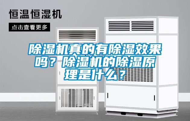 除濕機(jī)真的有除濕效果嗎？除濕機(jī)的除濕原理是什么？