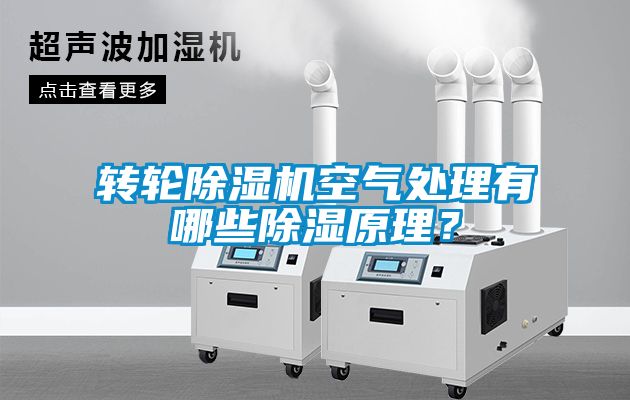 轉(zhuǎn)輪除濕機空氣處理有哪些除濕原理？