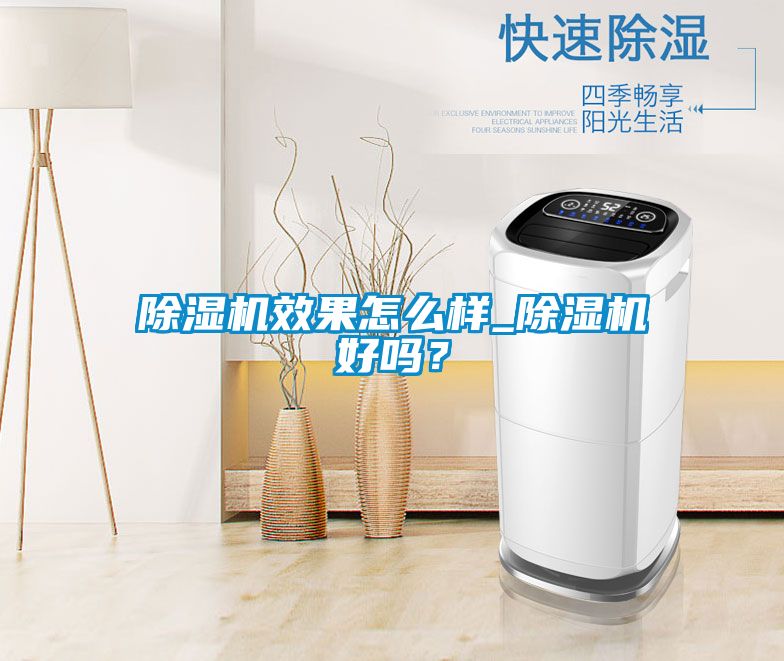 除濕機(jī)效果怎么樣_除濕機(jī)好嗎？