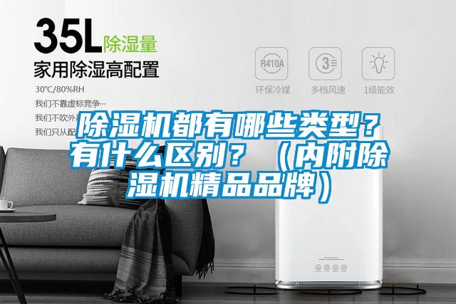 除濕機(jī)都有哪些類(lèi)型？有什么區(qū)別？（內(nèi)附除濕機(jī)精品品牌）