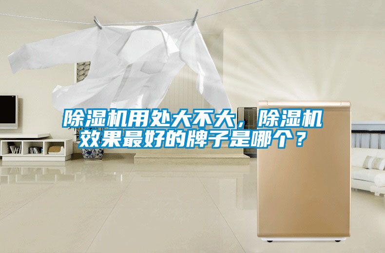 除濕機用處大不大，除濕機效果最好的牌子是哪個？