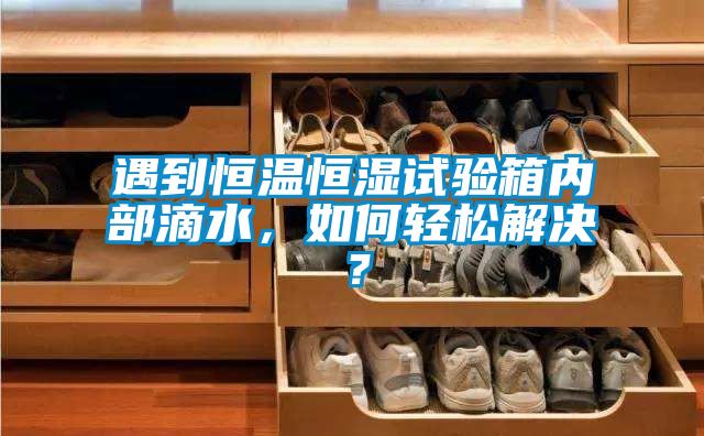 遇到恒溫恒濕試驗(yàn)箱內(nèi)部滴水，如何輕松解決？