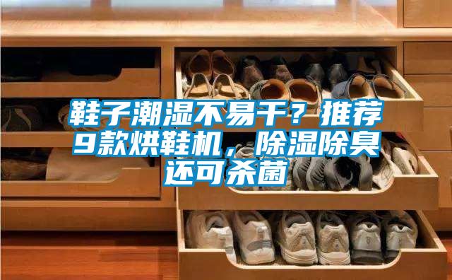 鞋子潮濕不易干？推薦9款烘鞋機(jī)，除濕除臭還可殺菌