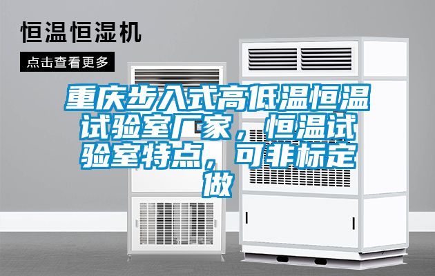 重慶步入式高低溫恒溫試驗室廠家，恒溫試驗室特點，可非標(biāo)定做