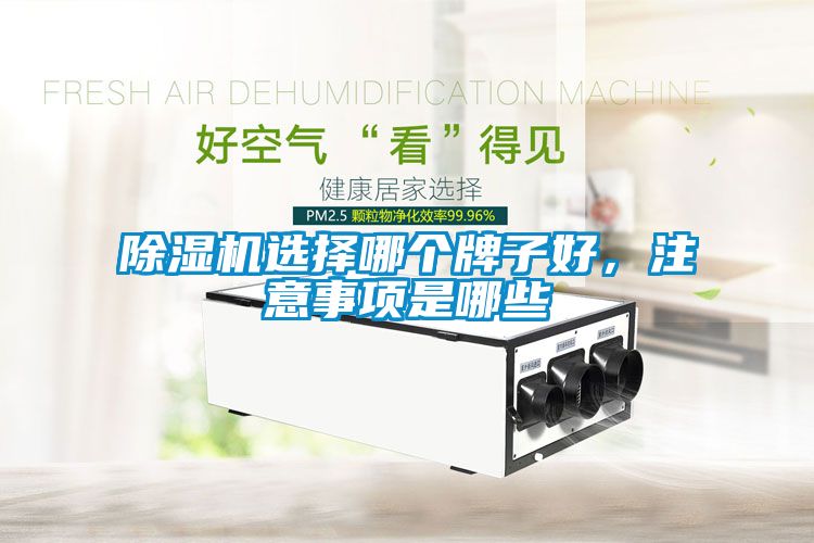 除濕機(jī)選擇哪個(gè)牌子好，注意事項(xiàng)是哪些