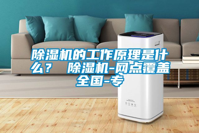 除濕機(jī)的工作原理是什么？ 除濕機(jī)-網(wǎng)點(diǎn)覆蓋全國(guó)-專