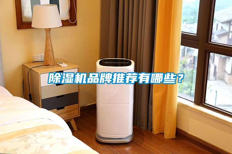 除濕機(jī)品牌推薦有哪些？