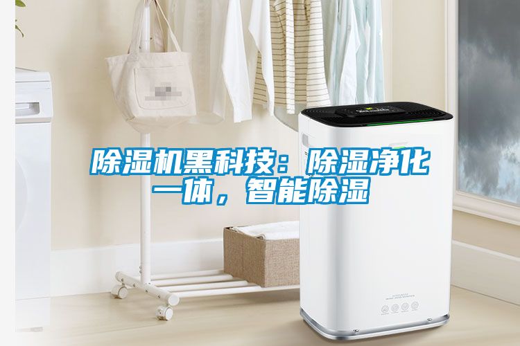 除濕機(jī)黑科技：除濕凈化一體，智能除濕