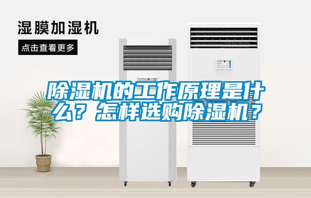 除濕機的工作原理是什么？怎樣選購除濕機？
