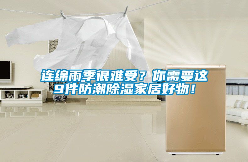 連綿雨季很難受？你需要這9件防潮除濕家居好物！