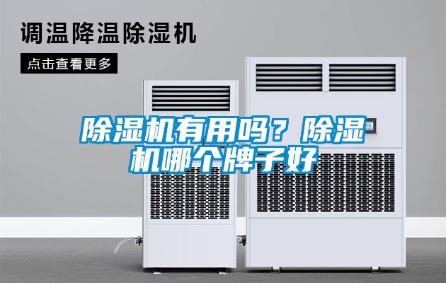除濕機有用嗎？除濕機哪個牌子好