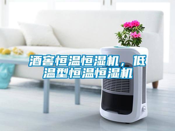 酒窖恒溫恒濕機，低溫型恒溫恒濕機