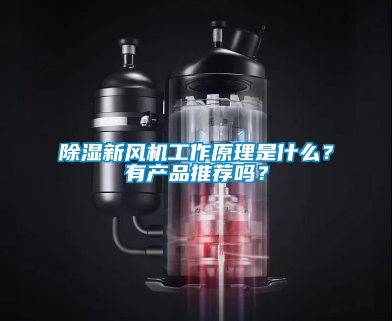 除濕新風機工作原理是什么？有產(chǎn)品推薦嗎？